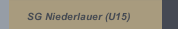 SG Niederlauer (U15)